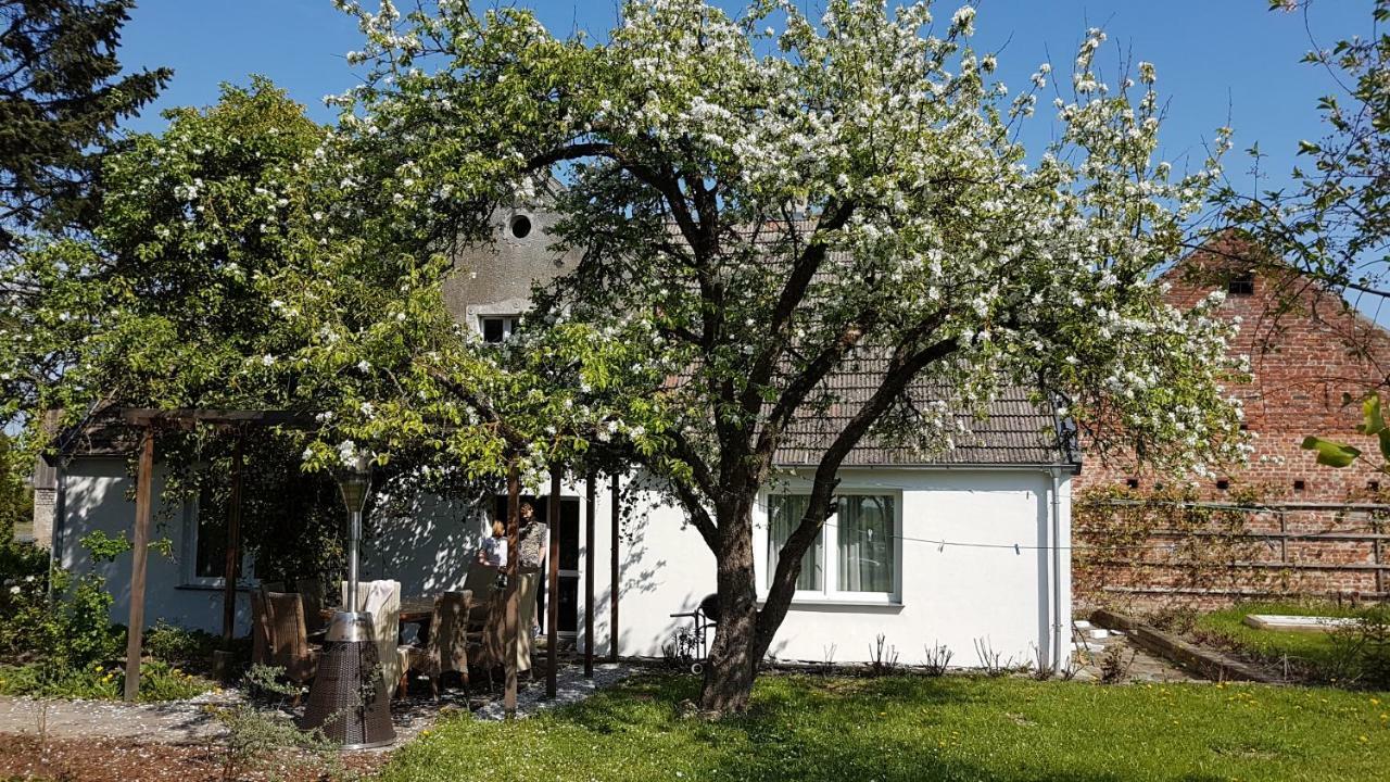 Agroturystyka U Karoliny Sarbinowo Exterior photo